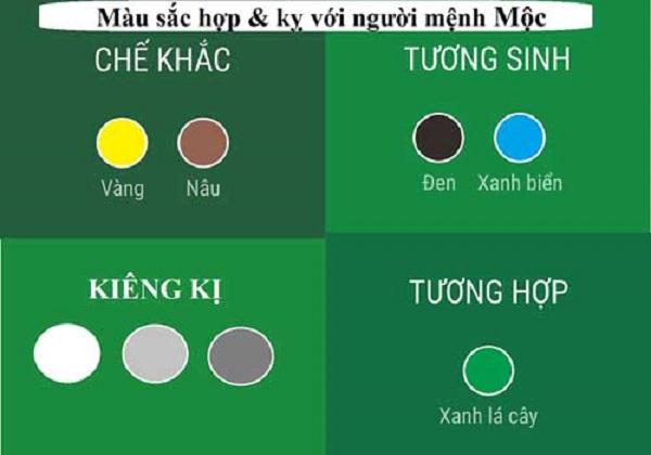 Mệnh Mộc tương sinh với màu sắc xanh lá, nâu và đen